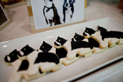 boston terrier cookies